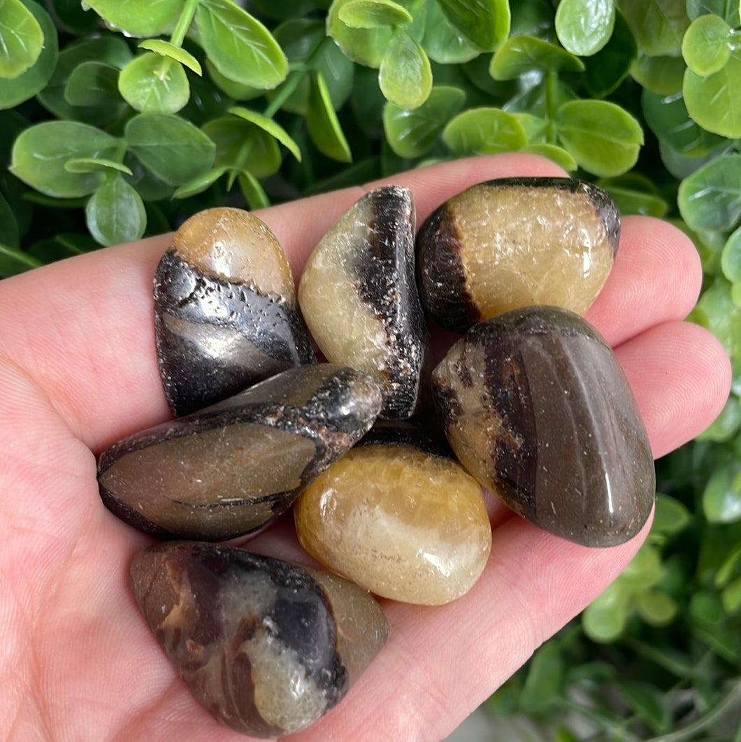 Tumbled Septarian
