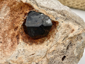 Garnet in the Matrix | Garnet Crystals | January Birthstone | Rocks & Minerals | Mineral Specimen