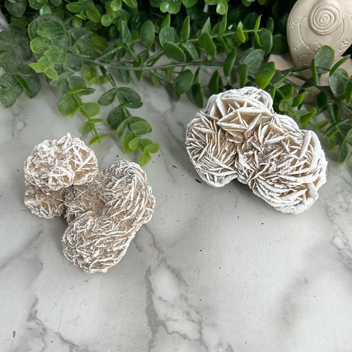 Desert Rose