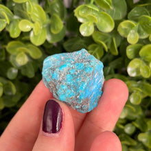 Load image into Gallery viewer, Kingman Turquoise