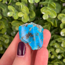 Load image into Gallery viewer, Kingman Turquoise