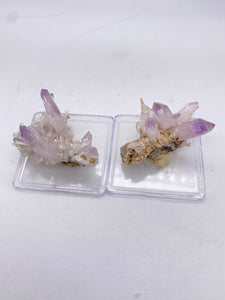 Vera Cruz Amethyst Cluster